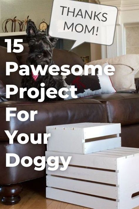 Pet Diy Projects, Diy For Pets, Cheap Diy Headboard, Stuffed Animal Diy, Diy Stuffed Animal, Diy Locker, Pet Diy, Diy Wainscoting, Hometalk Diy