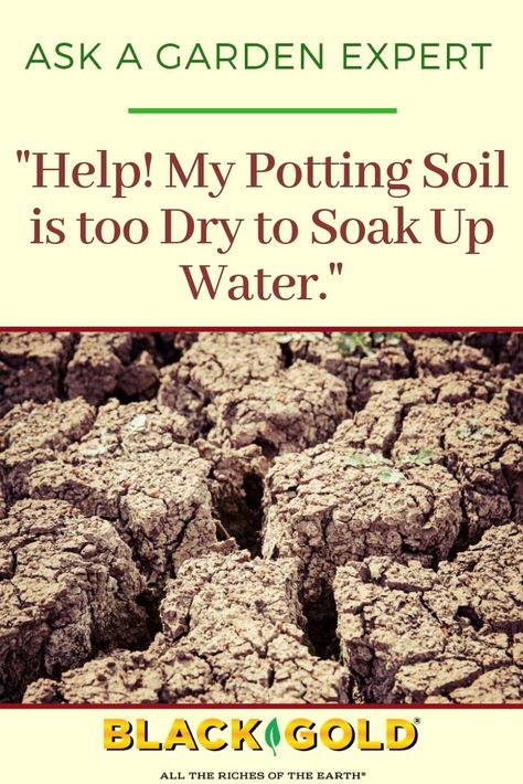 Well Draining Soil Mixture, How To Fix Bad Soil, How To Transfer Plant From Water To Soil, Hydrophobic Soil, Preparing Garden Soil For Planting, How To Amend Clay Soil, What Can I Do, Potting Soil, Wet And Dry