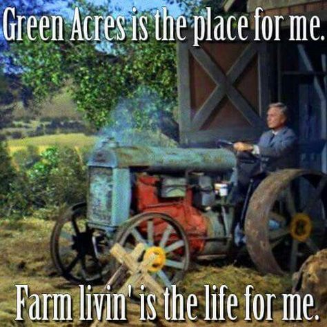 Green Acres 1960s television show. Farmers Life, Farming Life, Green Acres, Childhood Tv Shows, Tv Land, Classic Television, Old Tractors, Farms Living, Old Shows