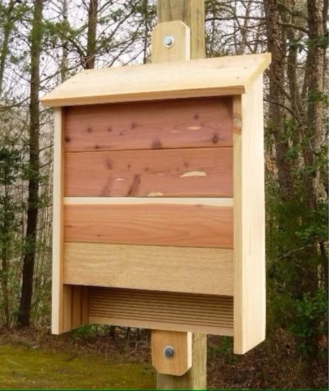 7 Bat House Plans for DIY Mosquito Control - Bob Vila Bat Box Plans, Bat House Diy, Types Of Bats, Build A Bat House, Outhouse Plans, Bat House Plans, Gazebo Bird Feeder, Bird House Plans Free, Downloadable Woodworking Plans