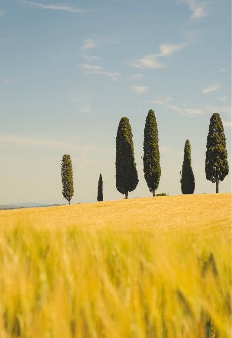 Yellow and blue landscape Simple Landscape Reference Photo, Landscape Reference Photos Nature, Simple Landscape Photography, Italy Landscape Photography, Scenery Simple, Simple Scenery, Tulip Drawing, Best Landscape Photography, Landscapes Photography