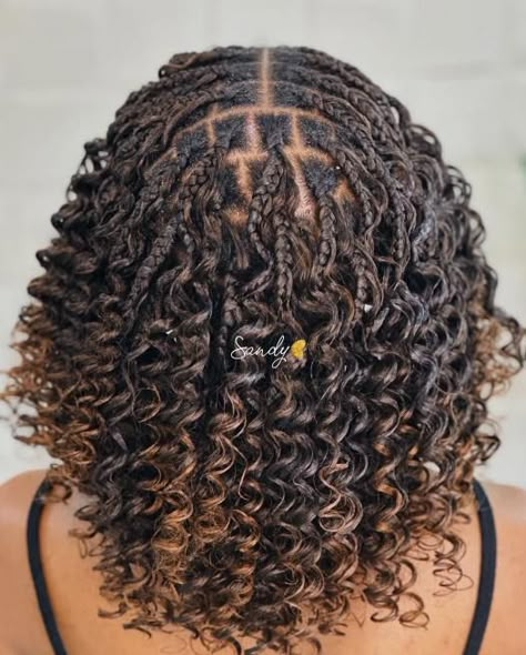 Curly Knotless Bob Braids with Highlights Braided Curly Bob, Curly Braid Bob, Knotless Bob Braids Hairstyles, Very Short Braids, Curly Braided Bob, Curly Bob Braids, Curly Short Braids, Shoulder Length Box Braids Curly Ends, Bob Braids With Curls