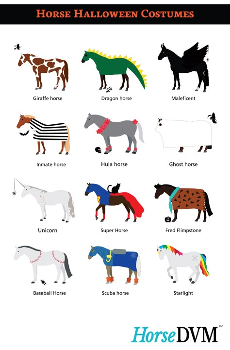 HorseDVM - Horse Halloween Costumes Superhero Horse Costume, Halloween Costumes For Equestrians, Matching Halloween Costumes With Horse, Equine Halloween Costumes, Equine Costume Ideas, Horse Custom Halloween, Halloween Costumes With Your Horse, Costume Ideas For Horse And Rider, Easy Horse Costumes For Horses