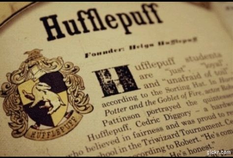 Hufflepuff book Hufflepuff Aesthetic, Hufflepuff Pride, Harry Potter Wall, Harry Potter Book, The Goblet Of Fire, Harry Potter Hufflepuff, Images Harry Potter, Newt Scamander, Harry Potter Houses