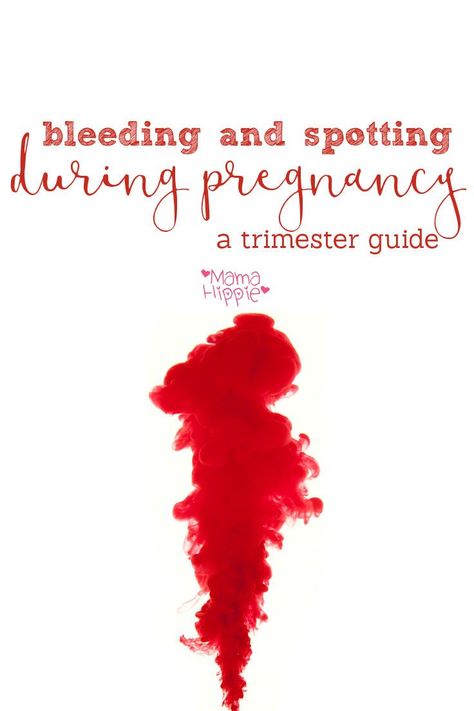 Bleeding during pregnancy can be a scary experience. Some estimates, however, contend that up to 50% of pregnant women experience spotting or bleeding during their pregnancy at some time. Here are some of the most common causes of bleeding during pregnancy during the 3 trimesters. Spotting During Pregnancy, Pregnancy Spotting, 5 Weeks Pregnant, 16 Weeks Pregnant, Positive Pregnancy Test, Pregnancy Guide, Pregnancy Information, Natural Pregnancy, Pregnancy Months