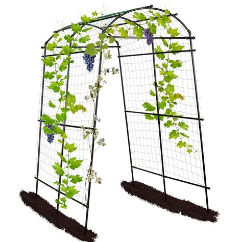 PRICES MAY VARY. Vertical Space Saver: The climbing plant support structure is tall and very sturdy, so it made it easy to duck under the net to harvest. Space-saving vertical plant support forms a fun, shady tunnel. Lightweight yet Sturdy: Polyethylene-coated steel plant support frame won't rust or degrade in sunlight and lasts afor years. Metal Sure-clips System make the garden arch cucumber trellis more stable. Holds up to 75 lbs. Multi-functional: This extra tall cucumber trellis provide lar Tunnel Trellis, Tall Trellis, Climbing Plants Outdoor, Metal Garden Trellis, Garden Arch Trellis, Cucumber Trellis, Arch Trellis, Outdoor Trellis, Plants Outdoor