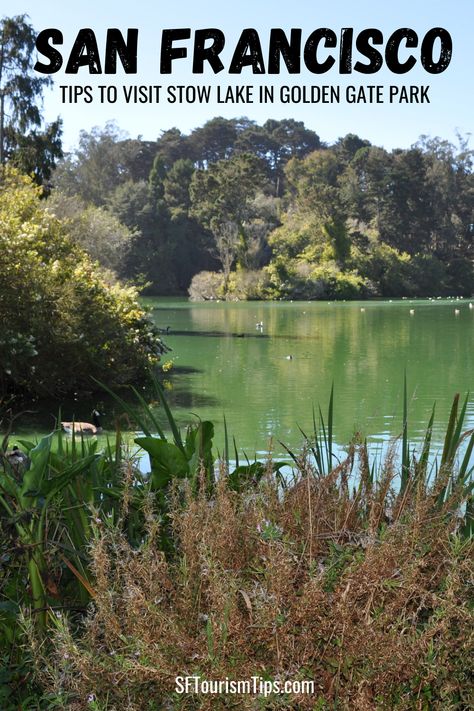 Tap the photo to learn more about what there is to see and do around Stow Lake in San Francisco. This Golden Gate Park gem offers hiking, boating, and a wonderful place for a family picnic. Stow Lake San Francisco, San Francisco Picnic, Family Boating, San Francisco Attractions, Golden Gate Park San Francisco, Strawberry Hill, Visit San Francisco, Golden Gate Park, San Francisco Travel