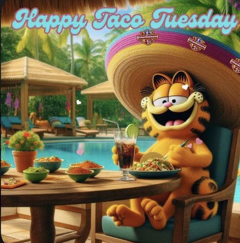 Taco Tuesday Quotes Funny, Happy Taco Tuesday Funny, Taco Tuesday Quotes, Tuesday Gif, Tuesday Quotes Funny, Happy Taco Tuesday, Friday Memes, Tuesday Images, Tuesday Greetings