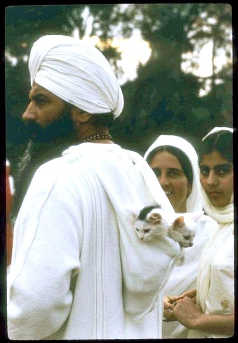 yogi Bhajan with kittens Kundalini Yoga Kriya, Fear Of The Future, Flow Of Life, Yogi Bhajan, Heart Center, Kundalini Yoga, Little Kittens, Yoga Sequences, Soulmate