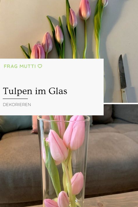 Hallo Frühling! Zauber' dir mit diesen Tulpen im Glas eine wunderschöne Frühlingsdeko ins Haus. 😍 Jetzt den einfachen Tipp lesen und ausprobieren! Tulpen Arrangements, Vase, Pins