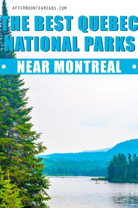 The best quebec national parks near montreal. Tall evergreen tree with mountains in the distance and a lake in front. Escape To Nature, Best National Parks, Cross Country Skiing, Montreal Canada, Afternoon Tea, Montreal, The 10, National Parks, Tea