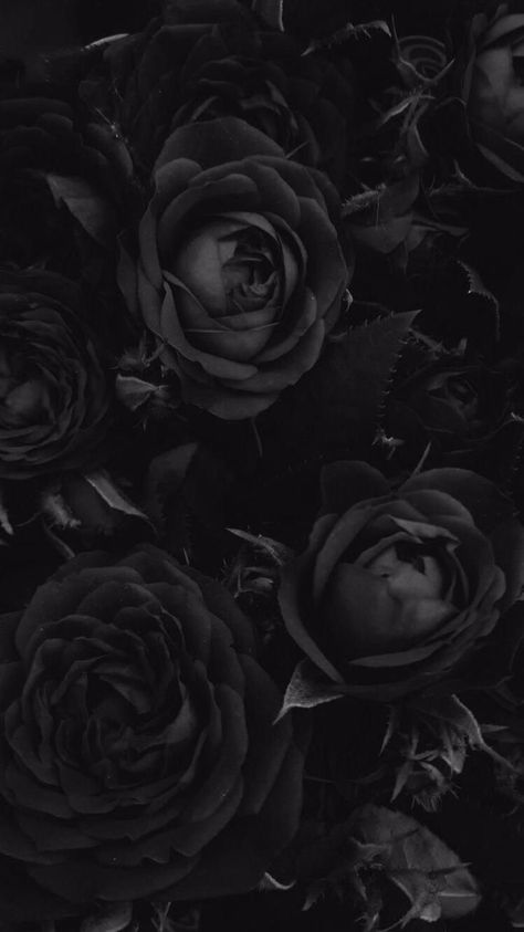 Floral Wallpapers for iPhone and AndroidClick the link below to get the latest Tech News and Gadget Updates Wallpaper Samsung Galaxy, Black Roses Wallpaper, Vintage Foto's, Wallpaper Samsung, Gothic Wallpaper, Chic Lounge, Cute Black Wallpaper, Black Phone Wallpaper, Black Roses