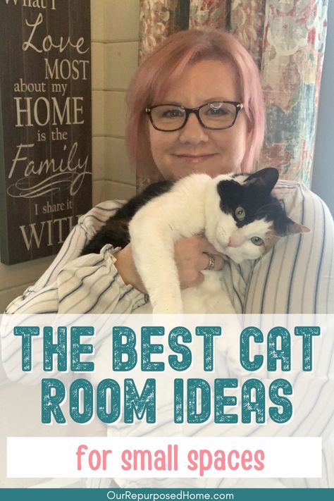 Your cat deserves the best, and so does your home! Explore these cat room design tips and hacks to strike the perfect balance between style and comfort. Cat Friendly Backyard, Cats Bedroom, Cat Rooms Indoor Small Space, Catios Diy Indoor, Ideas For Cat Rooms, Diy Cat Room Small Spaces, Cattery Ideas Cat Room Indoor, Foster Cat Room Ideas, Cat Friendly Home Interior Design