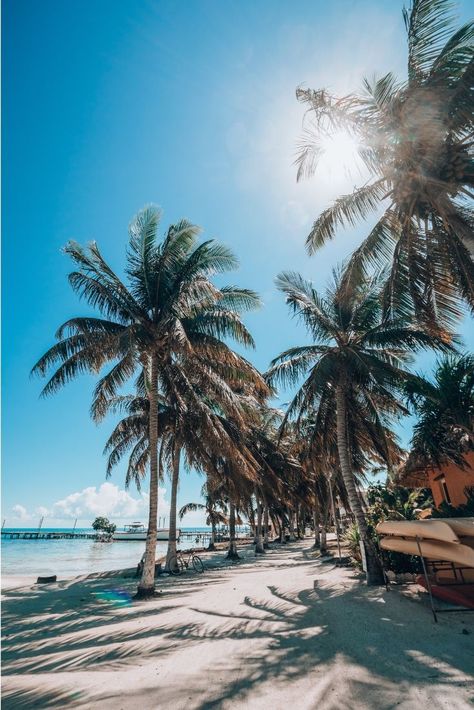 Caye Caulker is a small Caribbean island off the coast of Belize, popular for it’s laid back atmosphere and world-class coral reefs. Caye Caulker should be on any Belize bucket list. Although the island is small, it has lots of personality and things to do. Residents live by the motto “Go Slow”, which is well fitted for the Belizean tropical paradise. This is a quick guide on the best things to do in Caye Caulker Belize. Belize Cruise Port, Belize Honeymoon, Belize Hotels, Caye Caulker Belize, Placencia Belize, Belize Barrier Reef, Belize Beach, Belize Resorts, Belize Vacations