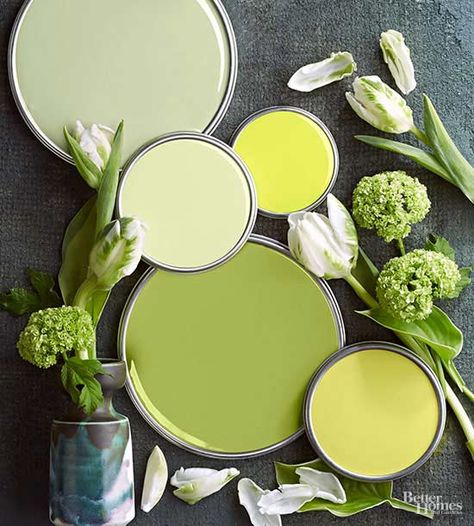 This yellow-tinted green palette makes every day feel like spring! Whimsy Nursery, Green Paint Colors Benjamin Moore, Guilford Green, Palette Green, Paint Palettes, Yellow Paint, Green Paint Colors, Green Walls, Color Story