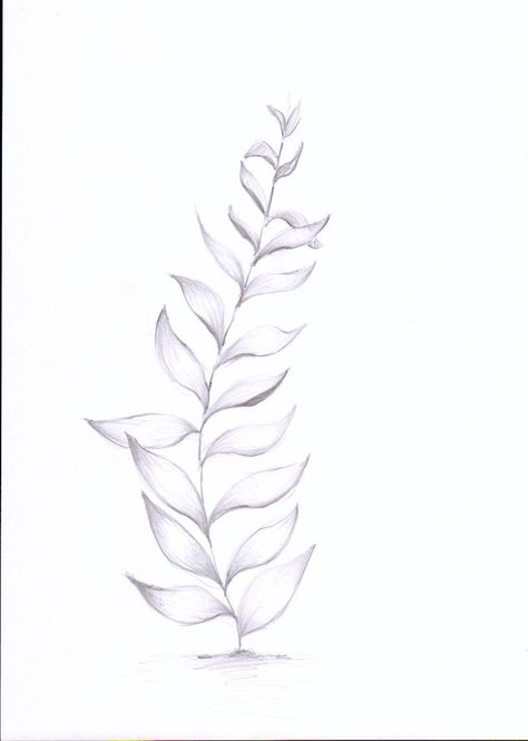 Seaweed Sketch, Image Reference, Pottery Painting, Cute Tattoos, Maple Leaf Tattoo, Art Tutorials, Art References, Tatting, Art Reference