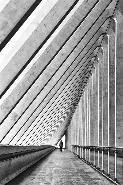 Chose your line #4 by Eric Forey / 500px Diagonal Lines Art Design, Photography Triangle, Implied Line, Photography Composition Rules, Line Photography, Rule Of Three, Architecture Images, Photography Series, Composition Photography