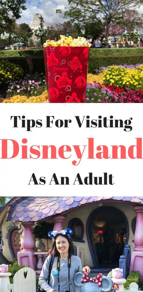 Disneyland Trip Planning, Disneyland Holidays, Disneyland Secrets, Disneyland Planning, Disneyland Halloween, Disneyland Tips, Disneyland Vacation, Disneyland Outfits, Disney Trip Planning