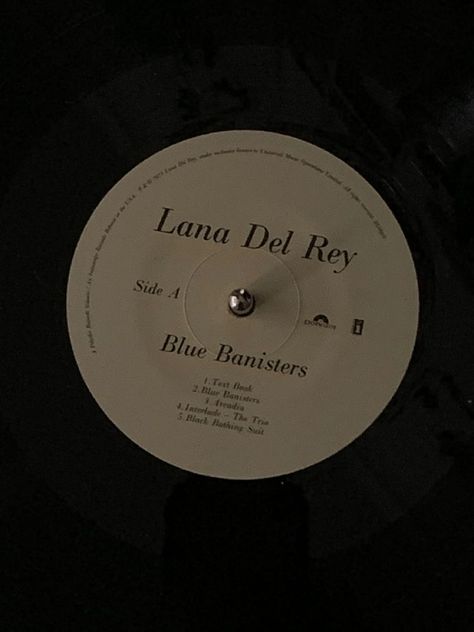 Blue Banisters, Collage Des Photos, Lana Del Rey Vinyl, Lana Rey, Phone Inspiration, Music Aesthetic, Brown Aesthetic, Phone Themes, Black Aesthetic