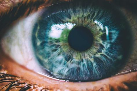 Eye Iris, Iris Photography, Iris Eye, Foto Macro, Realistic Eye Drawing, Beautiful Eyes Color, Eye Close Up, Simple Eye, Realistic Eye