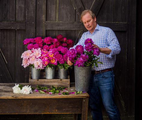 Our Peony Garden: 7 Tips for Success – P. Allen Smith Tiny Ants, P Allen Smith, Peony Garden, Spring Gardening, Growing Peonies, Tips For Success, Rock Garden Landscaping, Peonies Garden, Garden Show