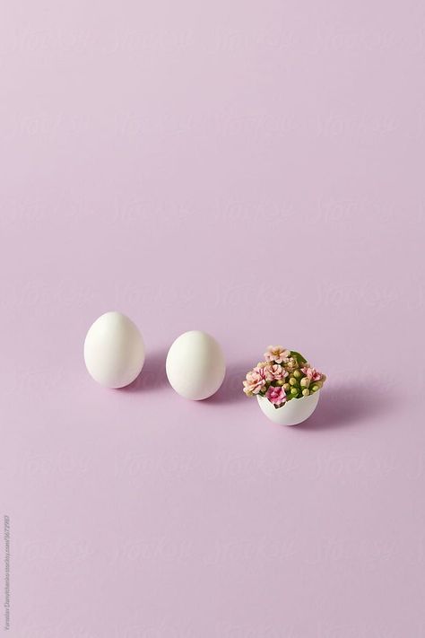 Easter Still Life Photography, Easter Still Life, Easter Egg Photography, Easter Aesthetic Photography, Easter Egg Aesthetic, Easter Product Photography, Easter Backgrounds Aesthetic, Easter Food Photography, Easter Eggs Aesthetic