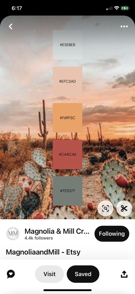 Cowboy Color Palette, Western Palette, Southwest Color Palette, Western Color Palette, Southwest Colors, Soap Business, Bedroom Colour Palette, Western Bedroom, Mobile Boutique