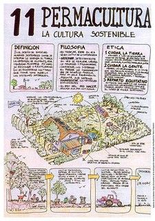 Eco Life, Eco Architecture, Permaculture Design, Permaculture Gardening, Green Tech, Green Architecture, Food Forest, Forest Garden, Eco Living