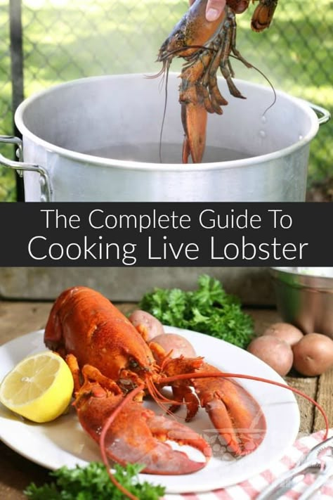 Learn everything you need to know about lobster. From purchasing to different cooking methods. Cooking lobster at home couldn't be easier! #lobster #CanadaDayLongWeekend #CanadaDay #lobstertails #lowcarb #glutenfree #summer #lobsterboil Skills Everyone Should Know, Cooking Lobster, Cook Lobster, Earth Food, Dishes Recipe, Live Lobster, How To Cook Liver, Shell Fish, How To Cook Lobster