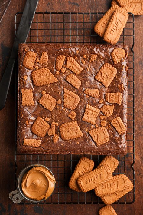 Biscoff Brownies | Sturbridge Bakery Sturbridge Bakery, Biscoff Brownies, Cocoa Powder Cookies, Shortbread Bars, Biscoff Cookies, Cookie Brownie Bars, Cookie Butter, Brownie Batter, Cookie Crust