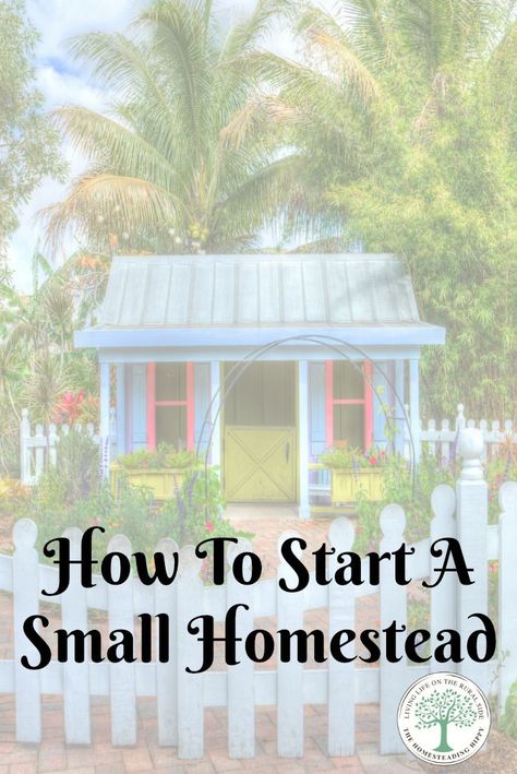 You can be a homesteader, on less than 3 acres! Here's how to start a small homestead. The Homesteading Hippy via @homesteadhippy Small Homestead, Homestead Ideas, Homestead Farm, Homesteading Skills, Funny Farm, Homestead Living, Easy Backyard, Urban Homesteading, Mini Farm