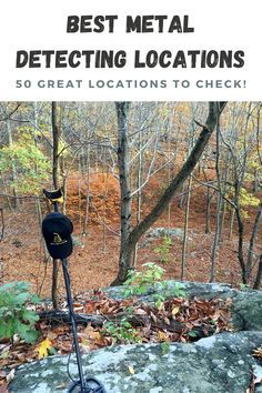 Metal Detecting Locations, Artifact Hunting, Metal Detectors For Sale, Metal Detecting Tips, Metal Detecting Finds, Garrett Metal Detectors, Pulse Induction Metal Detector, Magnet Fishing, Rare Pennies