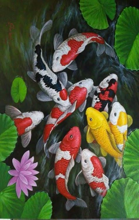 Koi Cross Stitch, Koi Painting, Koi Fish Drawing, Pond Painting, Koi Art, Carpe Koi, Golden Fish, Diamond Drawing, Watercolor Fish