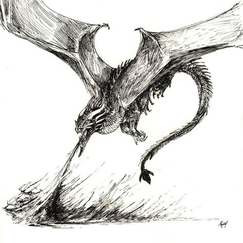 animal creature and monster drawing Dragon Tattoo Breathing Fire, Dragon Drawing Aesthetic, Dragon Fire Drawing, Dragon Breathing Fire Tattoo, Dragon Breathing Fire Drawing, Flying Dragon Drawing, Fire Breathing Dragon Tattoo, Dragon Fire Tattoo, Dragons Breathing Fire