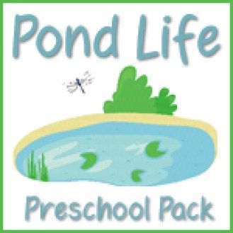 Pond Life Preschool, Pond Preschool, Montessori Jobs, Pond Life Theme, Story Sheet, Frogs Preschool, Preschool Camping, Pond Habitat, Story Summary