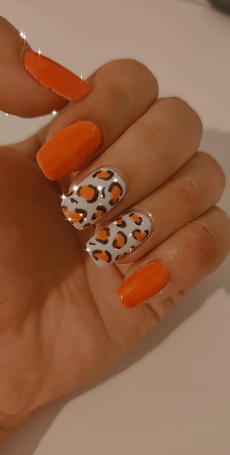 Neon Cheetah Nail Designs, Cheata Nails Acrylic, Neon Lepord Print Nails, Orange Animal Print Nails, Orange Cheetah Nails, Orange Holiday Nails, Orange Leopard Nails, Pink Bling Nails, Nails Leopard