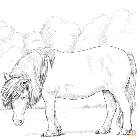 Pony Coloring Pages, Horse Coloring Books, Miniature Ponies, Printable Coloring Pages For Kids, Mini Pony, Horse Inspiration, Shetland Pony, Horse Illustration, Horse Coloring Pages