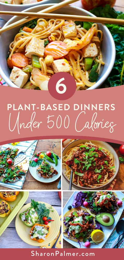 Vegan Recipes With Calorie Count, 400 Calorie Vegan Meals, Vegan 1500 Calorie Meal Plan, 500 Calorie Vegan Meals, Calorie Deficit Meal Plan Vegan, Calorie Deficit Meal Plan Vegetarian, Best Plant Based Recipes, Low Calorie Plant Based Meals, Low Calorie Vegan Recipes