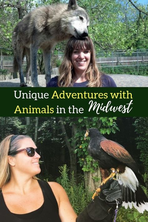 Unique Adventures, Animal Mashups, Animal Adventures, South Dakota Road Trip, Africa Trip, Animal Encounters, Animal Printables, Animal Experiences, Indiana Travel