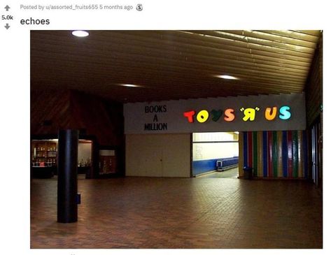 Toys 'R' Us Liminal Places, Oddly Familiar, Back Rooms, Strangely Familiar, Abandoned Malls, Dead Malls, Weirdcore Aesthetic, Familiar Places, Books A Million