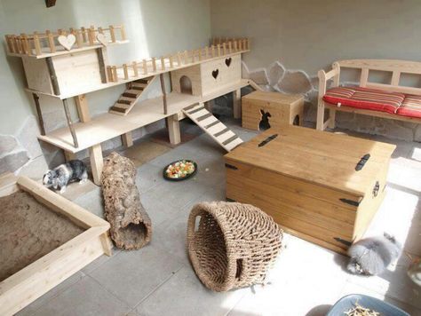 Bunny Paradise the ultimate living space for your bunnies not a cage.      I like.  I want. Rabbit Enclosure, Rabbit Habitat, Unique Rabbit, Bunny Hutch, Bunny Room, Indoor Rabbit, Bunny Care, Rabbit Cages, Bunny Cages