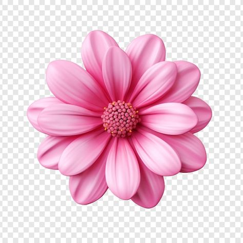 Flower Icon Transparent Background, Flower Mockup, Barbie Flowers, Logo Flor, Punk Flower, Pink Flower Background, Flor Vector, Flyer Gospel, Pink Elements