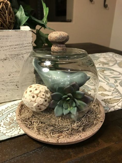 Dollar Tree Cloche, Diy Cloche, Cloche Decor, Succulent Decor, Double Sliding Barn Doors, Glass Dome Cloche, Seaglass Art, Mosaic Pots, Diy Bathroom Vanity