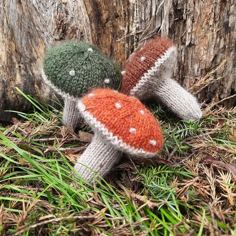 Free Mushroom Knitting Pattern, Knitted Mushrooms Free Pattern, Mushroom Knitting Pattern, Knit Vegetables, Woodland Accessories, Knitted Mushroom, Knit Mushroom, Christmas Knitting Projects, Mushroom Christmas