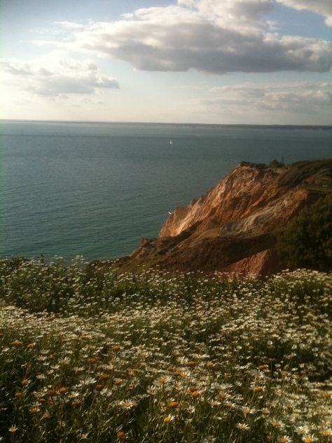 English coast English Coast Aesthetic, English Coast, English Seaside, Vsco Feed, Cottage Vibes, Quiet Life, Future Travel, English Countryside, Beach Aesthetic