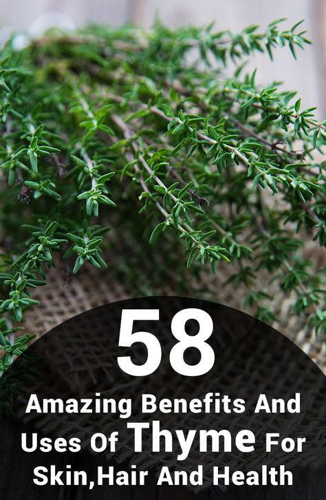 Thyme Oil Benefits, Benefits Of Thyme, Health Benefits Of Thyme, Thyme Benefits, Thyme Tea, Best Cough Remedy, Natural Cold Remedies, Cold Home Remedies, Herbs For Health