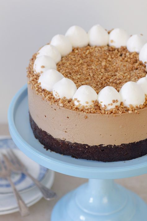 Coffee Mousse Cake with Chocolate and Hazelnuts Coffee Mousse Cake Recipe, Coffee Mousse Cake, Mocha Mousse Cake, Bistro Recipes, Dessert Styling, Everyday Cakes, Coffee Mousse, Chocolate Peanut Butter Desserts, Dessert Inspiration