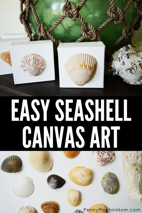 Easy Seashell Canvas Art | Seashell DIY | Shell DIY Project | DIY with Shells | Beach DIY | Easy Beach DIY | Beach Decor | Easy Beach Decor | Beach Decor DIY | Vacation Momentos | DIY Vacation Momentos | Diy With Shells, Beach Decor Diy, Seashell Canvas, Seashell Diy, Shell Diy, Sea Shells Diy, Diy Beach Decor, Shells Beach, Shells Diy