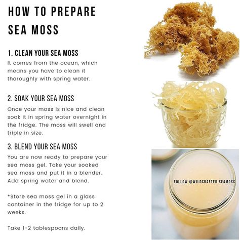 Make Sea Moss Gel, Seamoss Benefits, Key Limes, Sea Moss Gel, Super Foods, Irish Sea, Alkaline Diet, Juicing For Health, Sea Moss