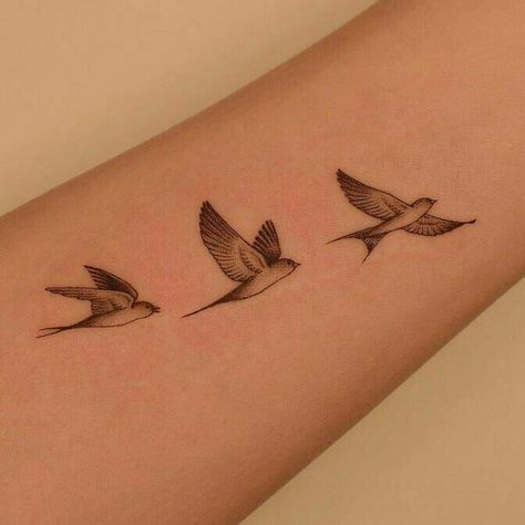 Little Bird Tattoos For Women, Three Little Birds Tattoo, Little Birds Tattoo, Tattoo Birds, Rib Tattoos For Guys, Swallow Birds, Little Bird Tattoos, Bird Tattoos For Women, Blue Butterfly Tattoo